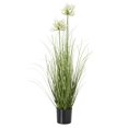 thumbnail image 2 of Hill Interiors Agapanthus Plant Pot, 2 of 4