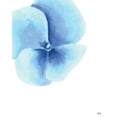 thumbnail image 2 of Fay, Mela 26x32 White Modern Wood Framed Museum Art Print Titled - Blue Pansy II, 2 of 4