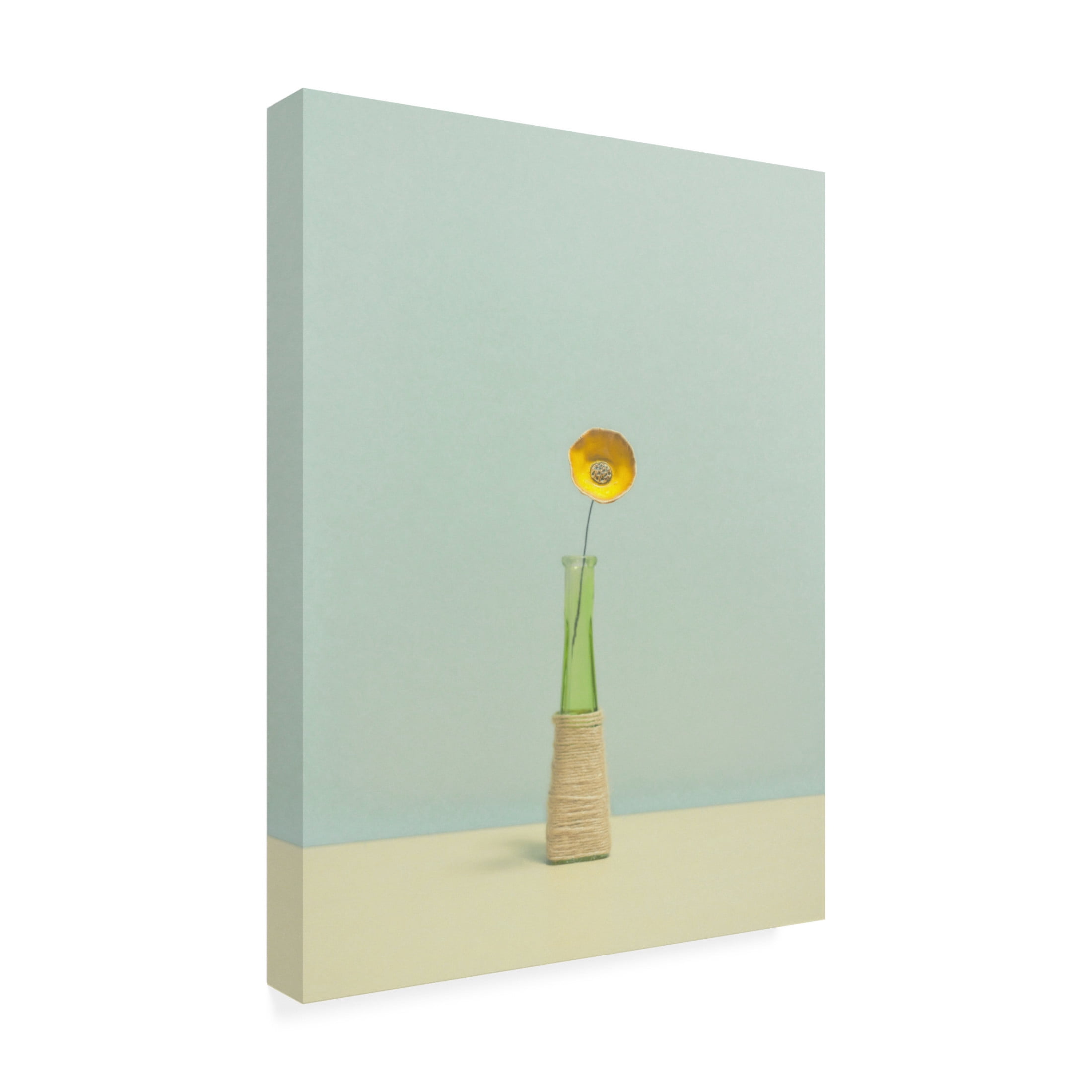 Canvas Wall Art - Lech Radecki 'Flower' Wall Art for Living Room, Bedroom, or Office Décor by Trademark Fine Art - 35 x 47 Inches