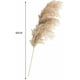 thumbnail image 2 of 20 Piezas Decoración Seca de Hierba de Pampas, Decoración de Hierba de Pampas, Flores Secas de 55 cm, para Fotografía de Interiores de Bodas (Marrón), 2 of 6