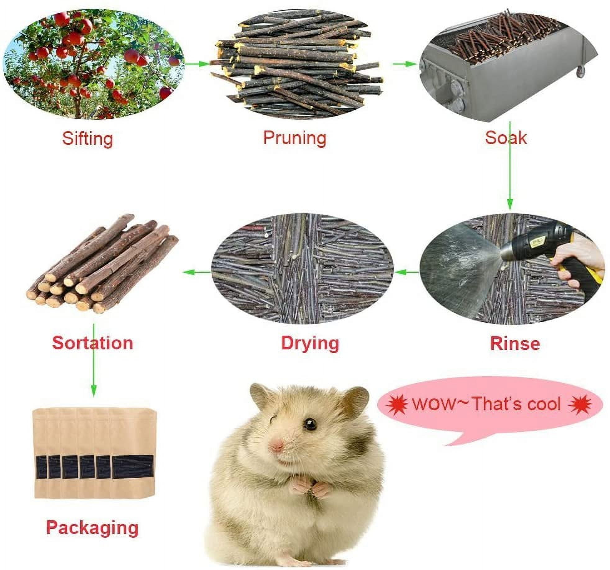 500g(18oz) Apple Sticks Pet Chew Toys for Rabbits Chinchilla Guinea Pigs