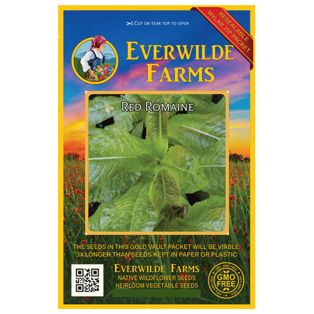 Everwilde Farms - 1000 Red Romaine Romaine Lettuce Seeds - Gold Vault Jumbo Bulk Seed (Best Way To Store Romaine Lettuce)