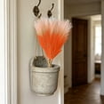 thumbnail image 4 of Pampas Grass Decor 21.7 Inch 20pcs, Faux Pampas Grass Orange Ultra Fluffy No Shedding for Boho Home Bedroom Wedding Vase Filler Dried Flower Arrangement, 4 of 6