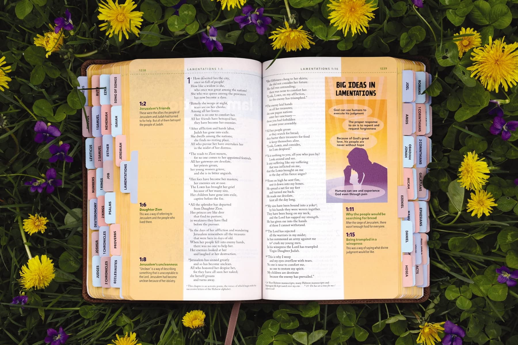 Niv, Kids' Visual Study Bible, Leathersoft, Bronze, Full Color Interior, Peel/Stick Bible Tabs: Explore the Story of the, (Hardcover)