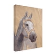 thumbnail image 2 of Jacob Green 'Thoroughbred VI' Canvas Art, 2 of 4