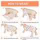 thumbnail image 3 of Traje de recuperación SAWMONG para perros después de la cirugía Orange Bee M, 3 of 8