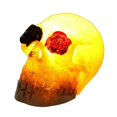 thumbnail image 3 of Halloween Led Decoration Halloween Skull Lamp Scary And Scary Props Novelty Gift Glow Luminous Ornaments Horror Made From Resin Skull, 3 of 5
