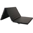 thumbnail image 4 of Sunny Health & Fitness Folding Gym Mat, 4 of 5