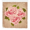 thumbnail image 3 of Ambesonne Rose Shower Curtain, Pink Bouquet of Flowers, 69"Wx70"L, Tan Pale Pink Green, 3 of 5