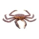 thumbnail image 1 of EeaseMX 1 modelo de animales marinos simulados, juguete de plástico para niños, adorno con forma de cangrejo., 1 of 7
