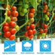 thumbnail image 4 of Red de jardín, red para plantas trepadoras, red de remo para cosechar pepinos, verduras, tomates y otras verduras, red de fijación para plantas trepadoras (1., 4 of 5