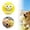 H, variant on Pet Chew Toy Funny Face Latex Squeaky Chew for Interactive Play