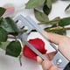 thumbnail image 4 of 3pcs Rose Thorn Strippers Flown Thorn Thorn Stripping Tools Iron Rose Pliers, 4 of 5