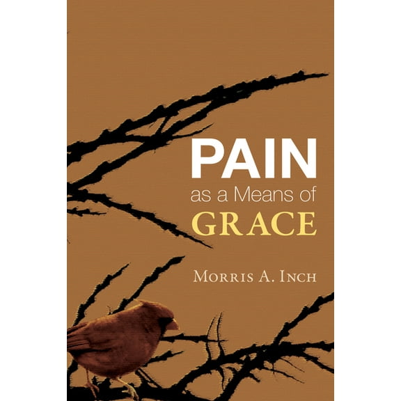 Pain as a Means of Grace (Paperback)