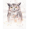 thumbnail image 2 of Dyer, Beverly 20x24 White Modern Wood Framed Museum Art Print Titled - Great-Horned Owl, 2 of 4
