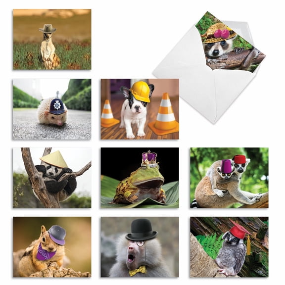 The Best Card Company 10 Assorted Blank All Occasions Notes Bulk Pack Set 4x5.12 w/ Envelopes, 10x1 Designs, For Men, Women, Capped Creatures M6470OCB