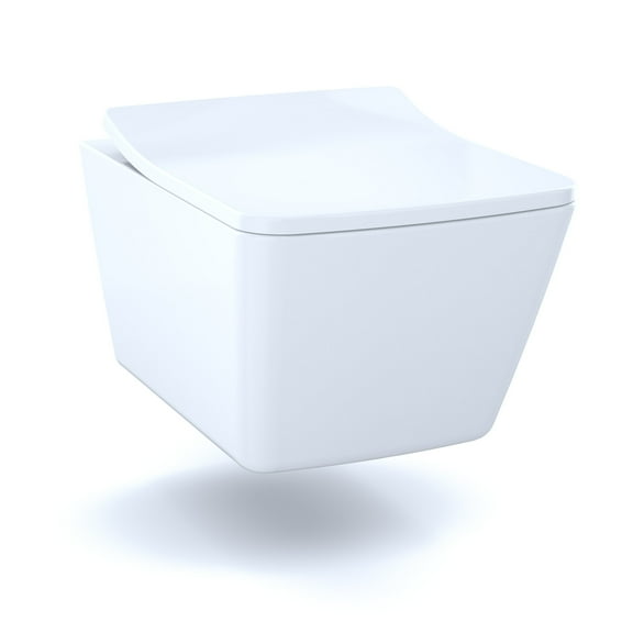 10 Inch Rough Toilet