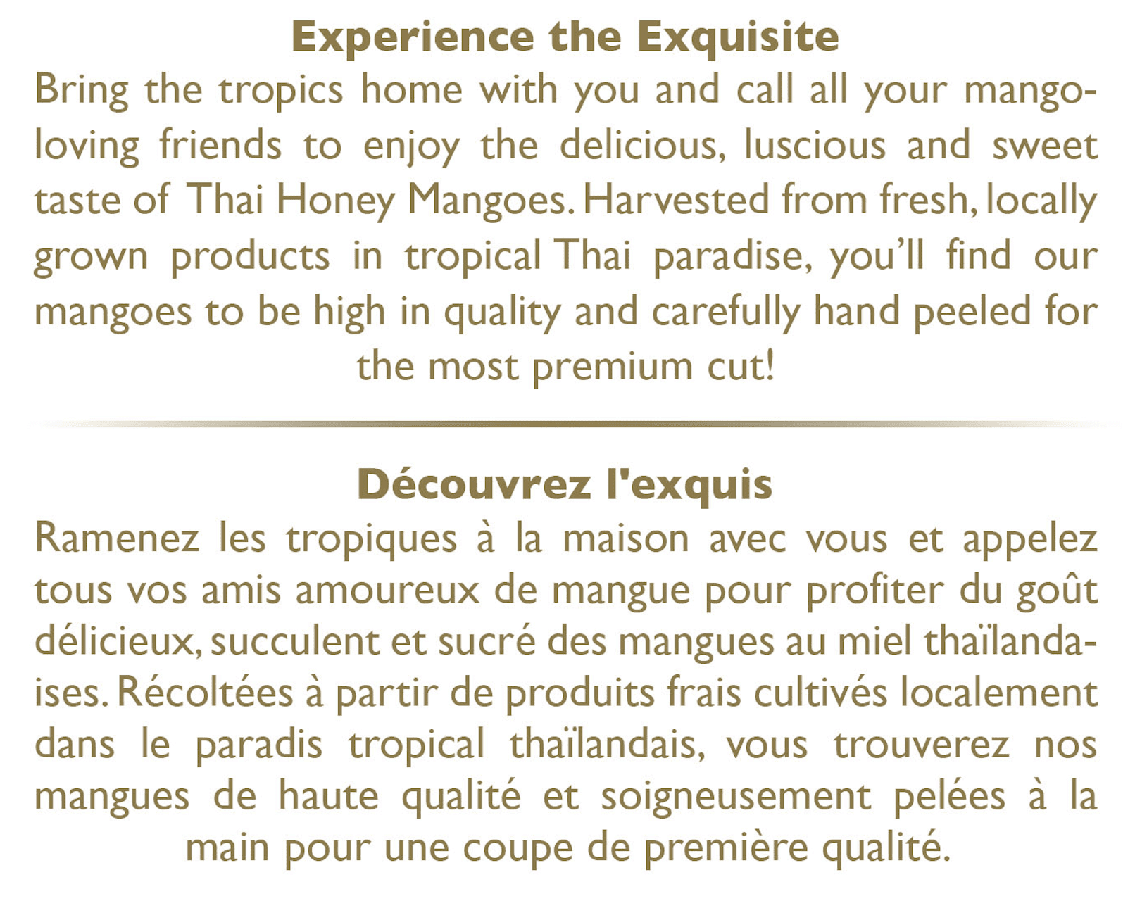 H&H Healthy & Happy Thai Honey Mango Dried Mango