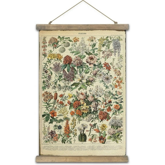 SYDposter Vintage Poster,Rustic Art Prints, Retro Style of Wall Hanging for Living Room Office Classroom Bedroom Playroom Apartment Decor. (Botany of Flower 1Panels, 16\u201c x 24\u201d)