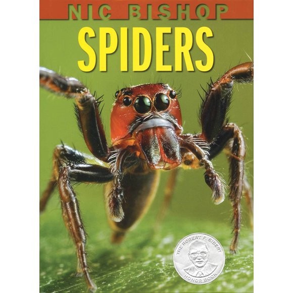 Libro Scholastic Nic Bishop Arañas Sibert Honor