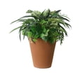 thumbnail image 2 of Algreen Classico 20 in. Self Watering Planter, 2 of 2