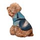 thumbnail image 5 of Balery Dancing Whale Sudadera con Capucha para Perros Pequeños – Ropa para Mascotas, Disfraz para Perros y Gatos, Ideal para Fiestas y Cosplay-Small, 5 of 7