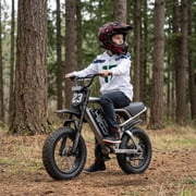 Electric Bike for Teenagers, Ages 7+ with 750W Brushless Motor, 16 Fat Tire, 20 MPH Electric Mountain Bicycle with Removable Battery, UL2849