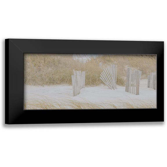 Lee, Judson 14x8 Black Modern Framed Museum Art Print Titled - Soft Beach Dune