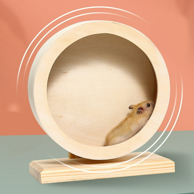 Hamster chewing top on wheel