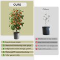 thumbnail image 4 of Slsy Jardinera de Tomates 63" con Enrejado y Ruedas, Autorriego, Soporte para Plantas, Ideal para Jardines, Patios, Invernaderos, Interior y Exterior, Flores y Verduras, 4 of 9
