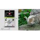 thumbnail image 1 of Mini bloques de construcción 3D, modelo de diamante con forma de animal, microladrillos, perro, gato, pájaro, alce, lobo, panda, guacamayo, juguetes para niños, regalos de cumpleaños, 1 of 5