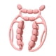thumbnail image 3 of Rodillo de masaje de piernas Relax Roller de 20 ruedas Masaje relajante versátil Masaje manual rosa, 3 of 8