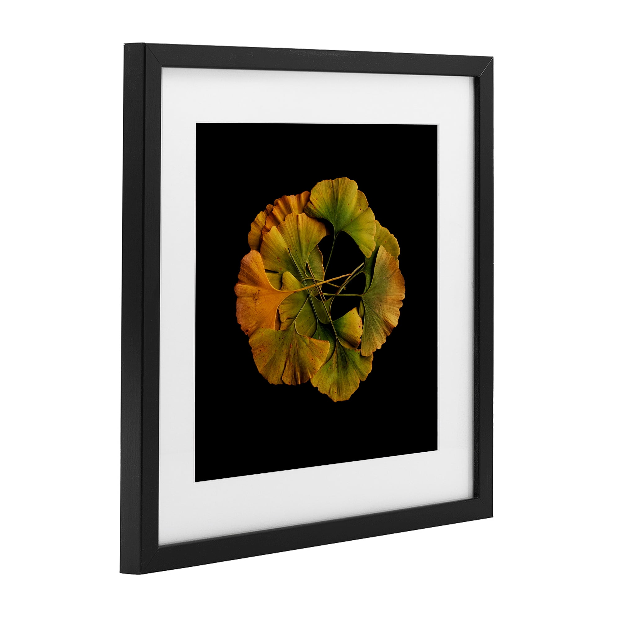 Stupell Industries Overlapping Ginkgo Leaves Black Framed Print Under Glass, design by Beth Adoette