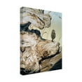 thumbnail image 2 of Trademark Fine Art 'Driftwood' Canvas Art by Ron Parker, 2 of 3