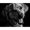 thumbnail image 2 of Chapman, Julie T. 24x20 Black Ornate Wood Framed with Double Matting Museum Art Print Titled - Canine Scratchboard XXIII, 2 of 4