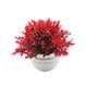 thumbnail image 4 of Planta falsa en maceta, accesorios para fotos, decoración de bonsái artificial, pequeñas plantas falsas para el hogar Rojo, 4 of 9