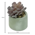 thumbnail image 3 of Planta Artificial con Maceta Mainstays 10 cm Mini Suculenta, 3 of 4