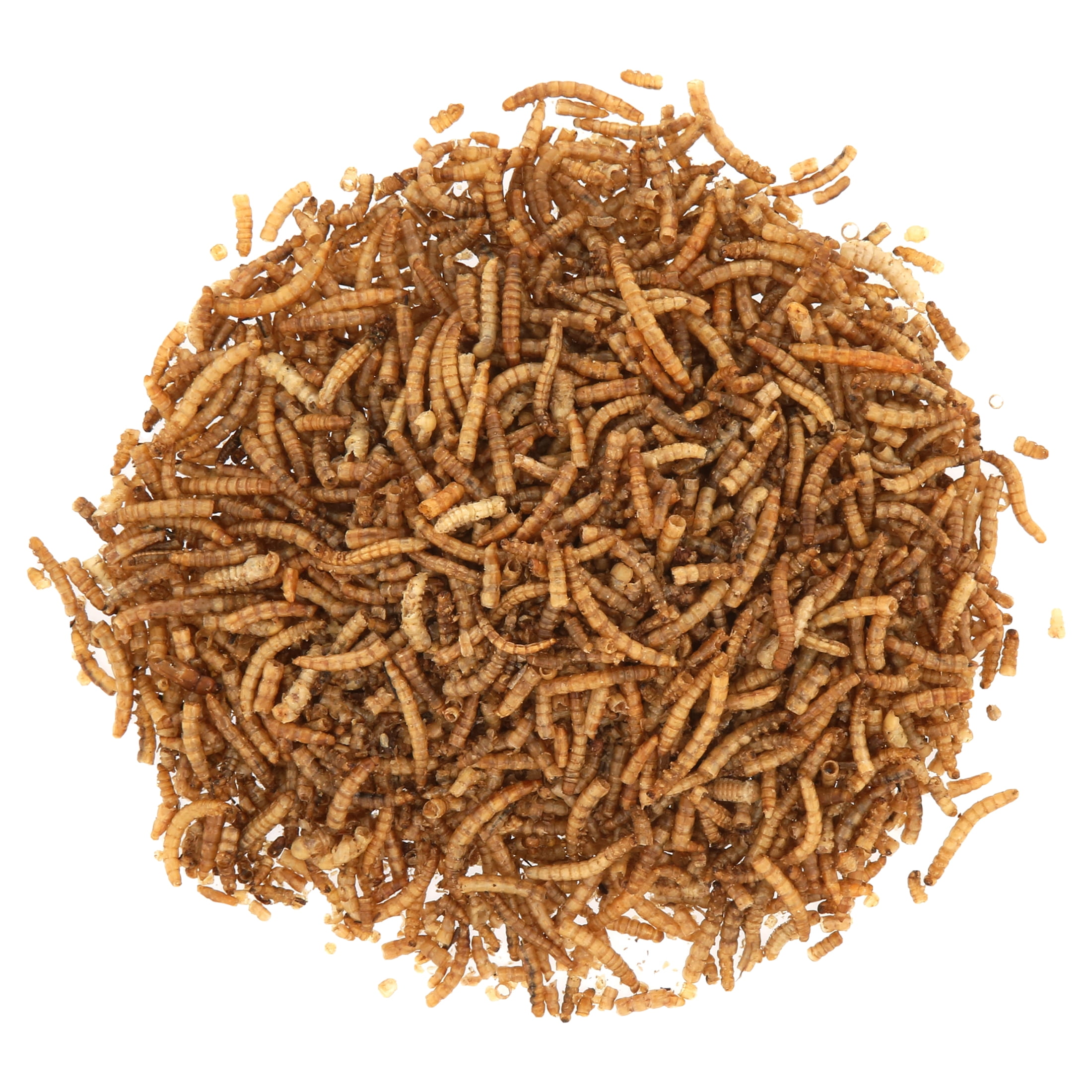 Garden Chic! Dried Mealworms, 14 oz.