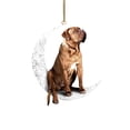thumbnail image 1 of Alohelo Iron Art Sit On The Moon Lovely Dog Moon Ornament For Dog Lovers Christmas Tree Pendent, 1 of 4