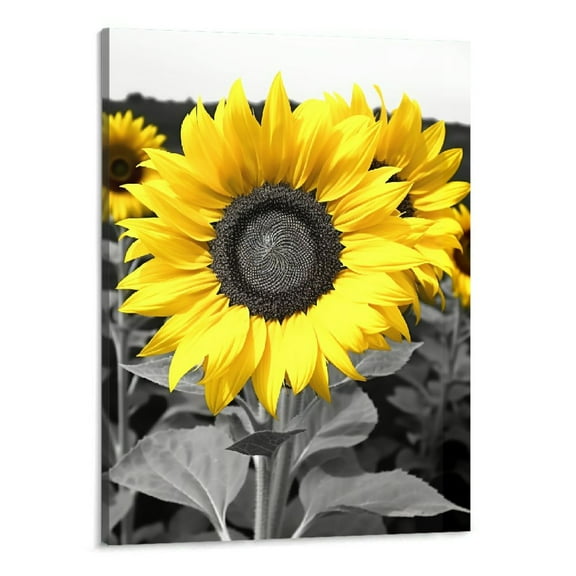 Shiartex Black and White Sunflower Picture - Yellow Floral Wall Art Bee Decor Wall Decor Flowers Home Wall Decoration Bathroom Bedroom Kitchen Living Room Modern Canva Painting Framed 16x20 Inch