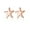 C-Rose Gold, variant on Solid 925 Sterling Silver Starfish Stud Earrings for Women Teens Beach Stud Earrings Sea Fish Earrings
