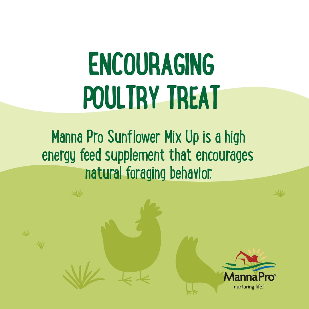 (3 pack) Manna Pro Farmhouse Favorites Chicken Treats - Sunflower Mix up - 1 Bag -10lb.