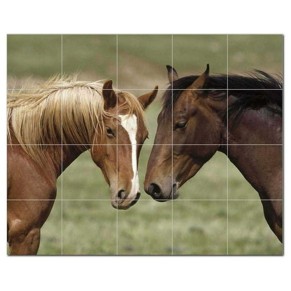 Horse Picture Ceramic Tile Mural Kitchen Backsplash Bathroom Shower, 405315-XL54