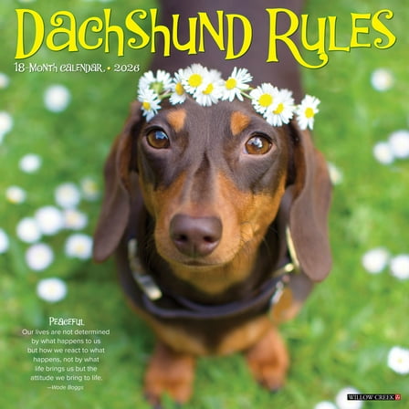 Dachshund Rules 2026 Wall Calendar