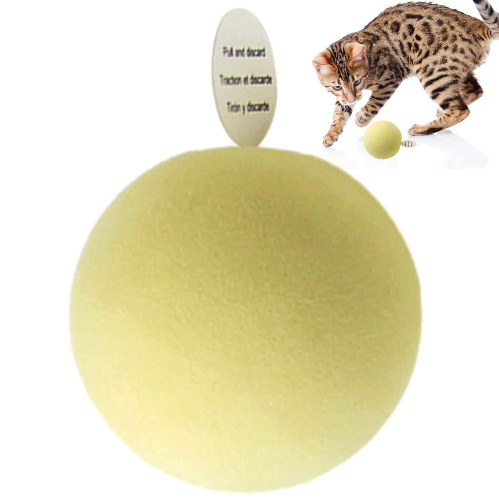 kitten toys at walmart