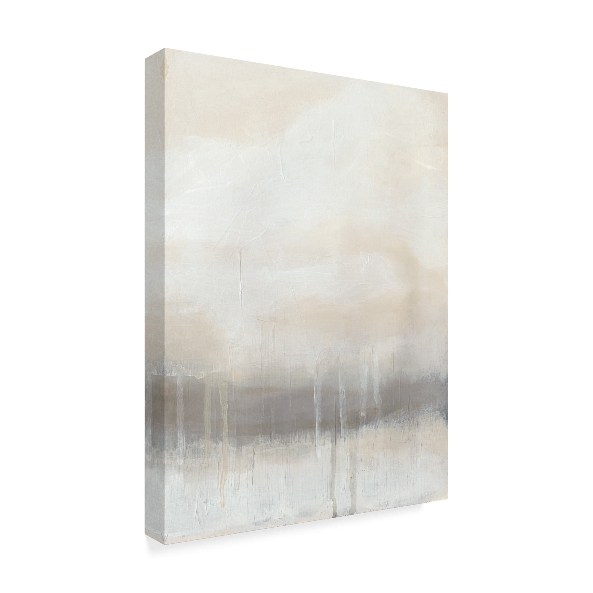 Trademark Fine Art 'Horizon Strata I' Canvas Art by June Erica Vess