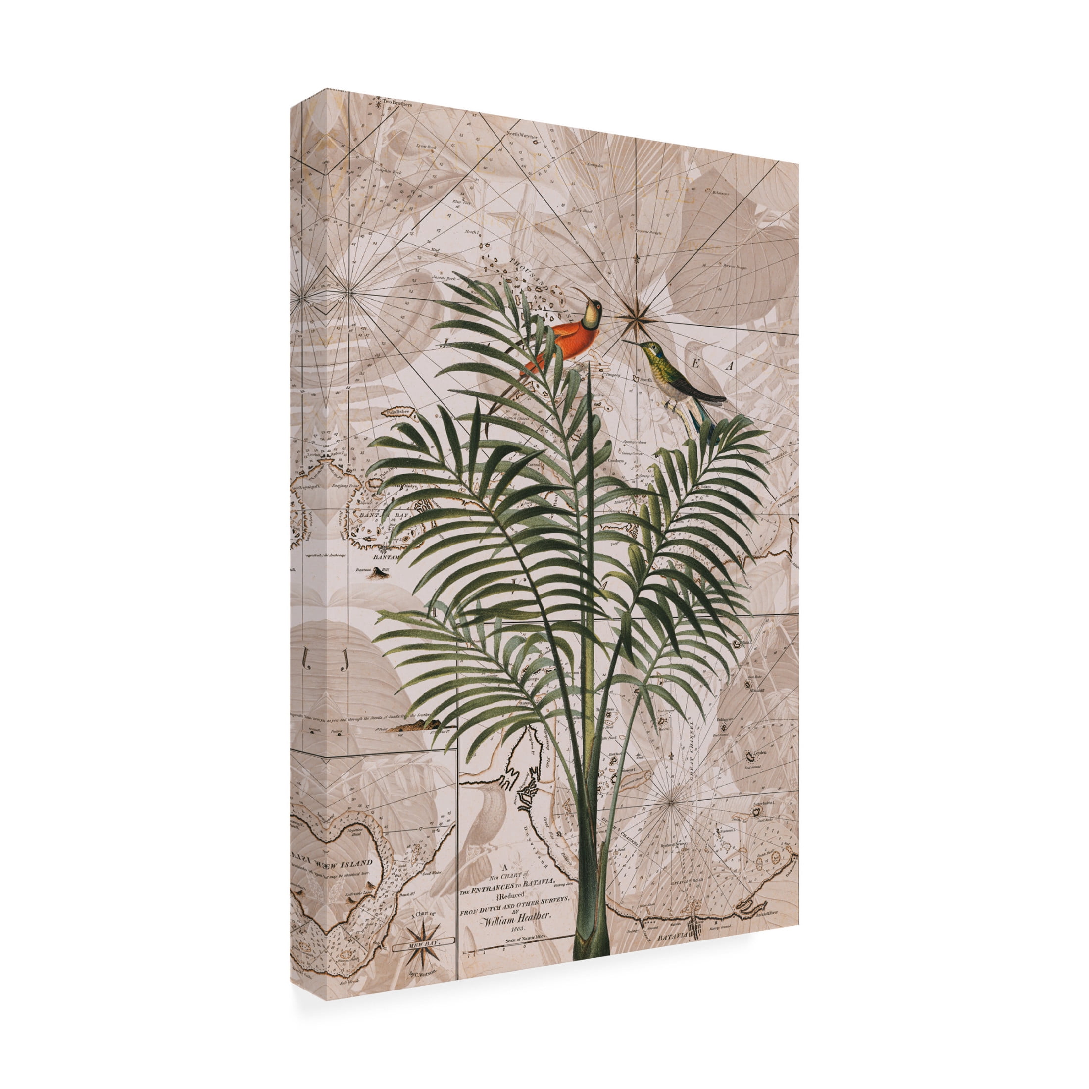 Trademark Fine Art Andrea Haase Indonesia Jungle Paradise No4 Canvas Wall Art
