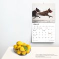 thumbnail image 4 of LABRADOR RETRIEVERS THE BEAUTY OF 2024 D, 4 of 8
