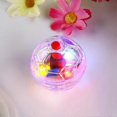 thumbnail image 2 of 3 Pcs Balles Lumineuses de Chasse aux Fantômes, Équipement Paranormal pour Animaux, 2 of 5