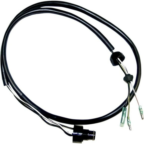 WSM Interrupteur de Sécurité